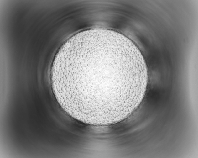 X0000088090856200706081748