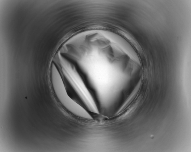 X0000088090858200706081749