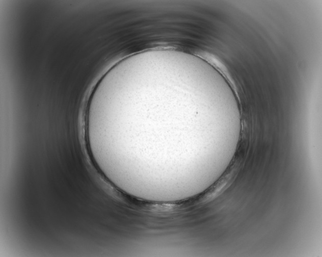 X0000088090859200706081749