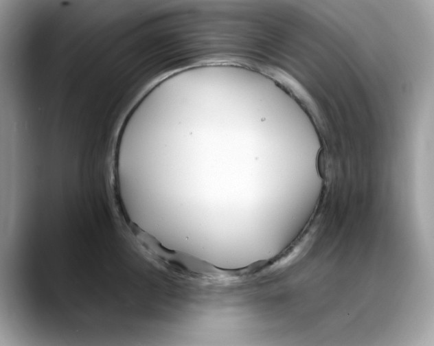 X0000088090860200706081749
