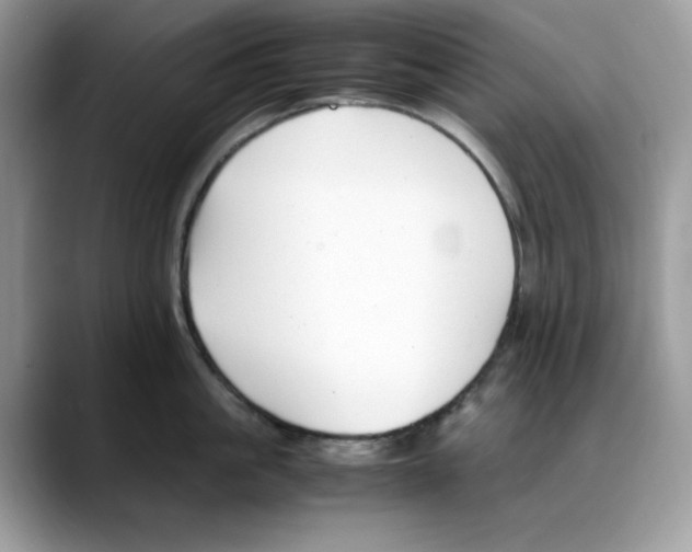 X0000088090861200706081749
