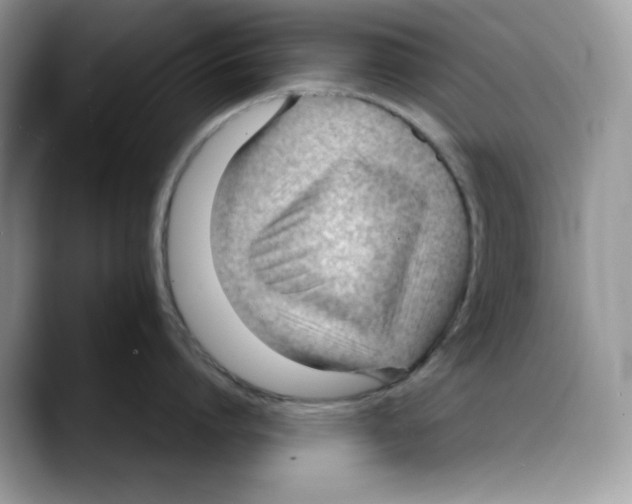 X0000088090864200706081749