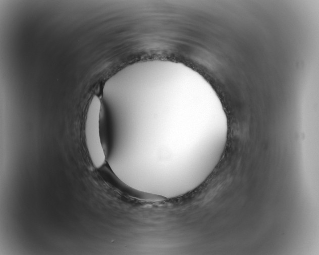 X0000088090869200706081748