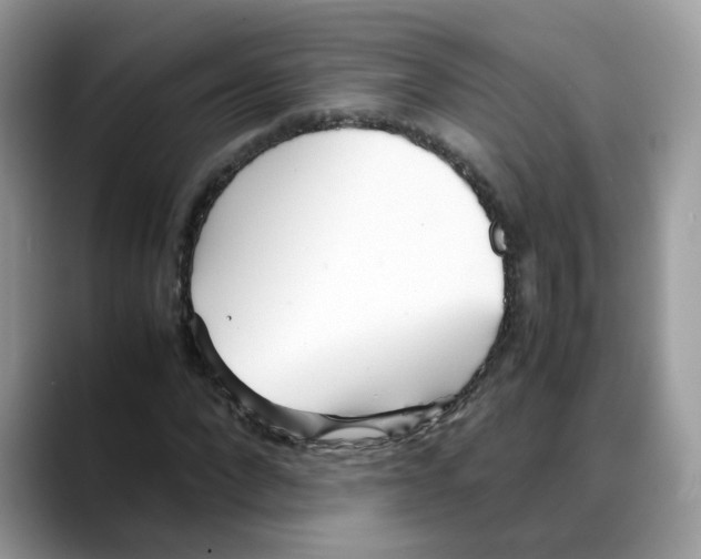 X0000088090872200706081748