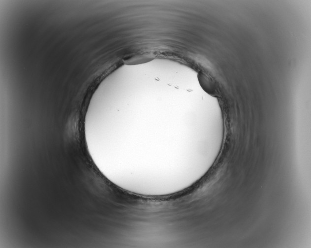 X0000088090873200706081748