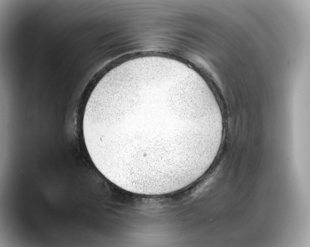 X0000088090875200706081748