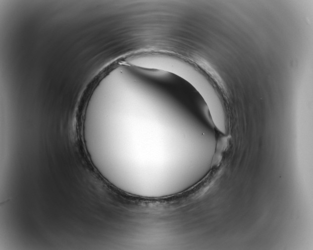 X0000088090876200706081748