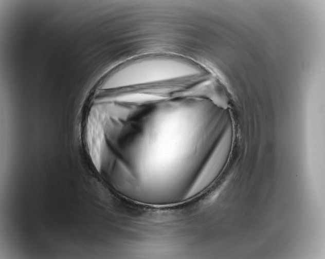 X0000088090877200706081748