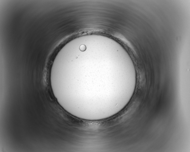 X0000088090878200706081748