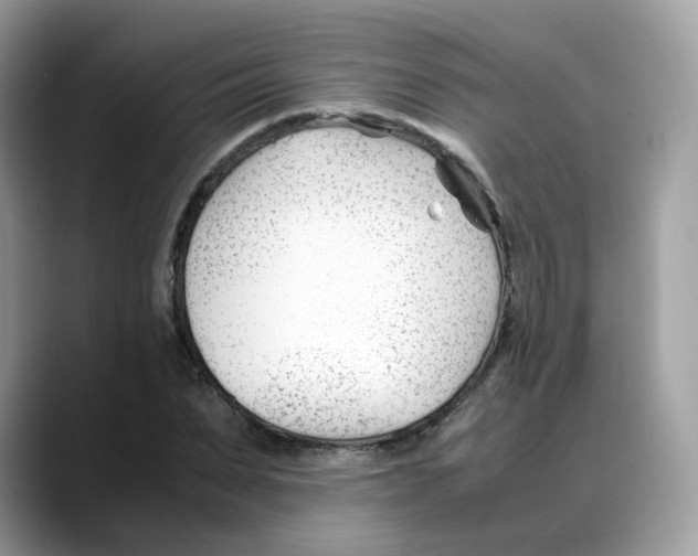X0000088090879200706081748