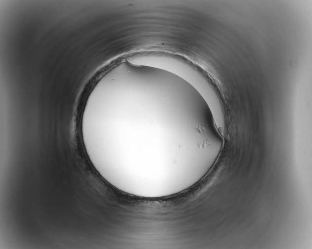 X0000088090880200706081748