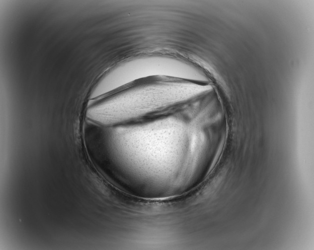 X0000088090881200706081748