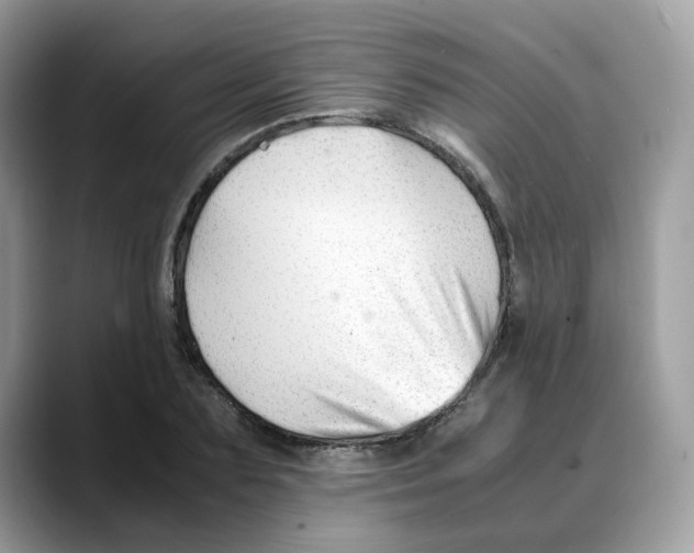 X0000088090883200706081748