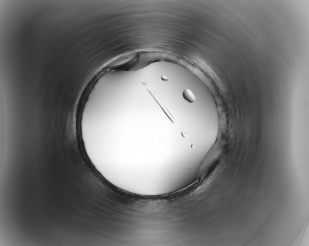 X0000088090884200706081748