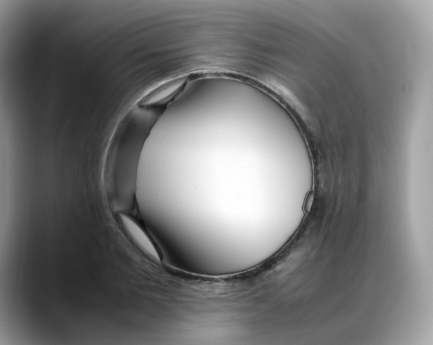 X0000088090885200706081748