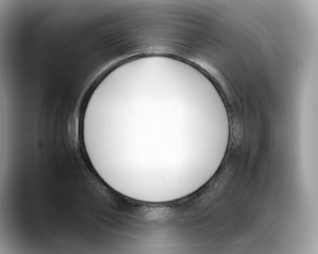 X0000088090886200706081748