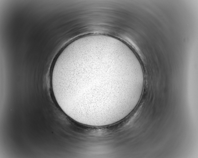 X0000088090891200706081748