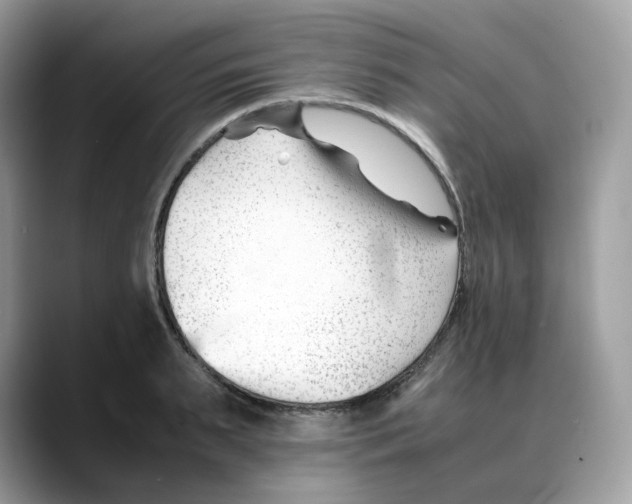 X0000088090895200706081748