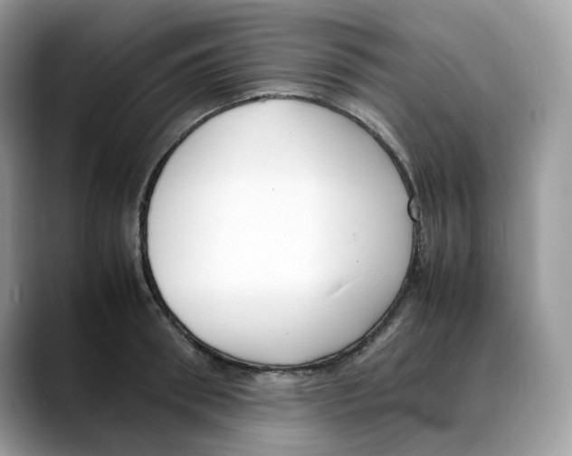 X0000088090898200706081748