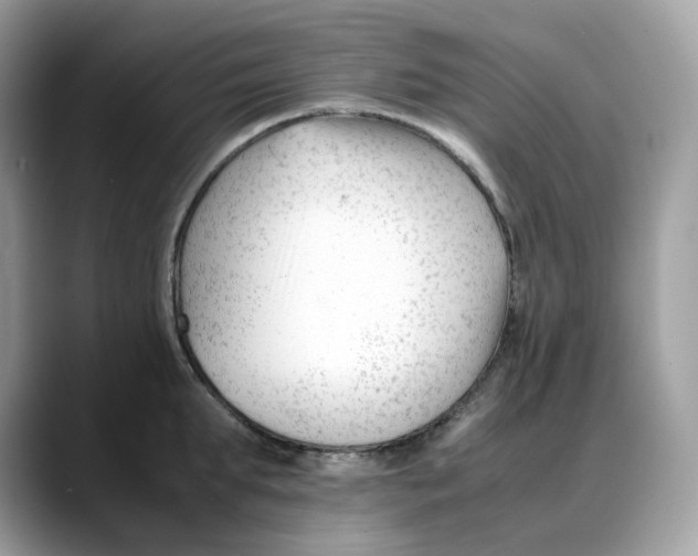 X0000088090903200706081747