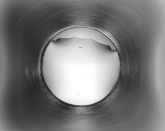 X0000088090904200706081747