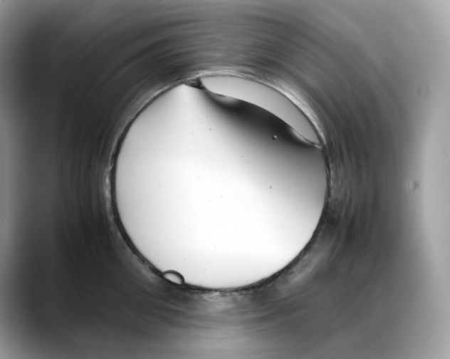 X0000088090906200706081747