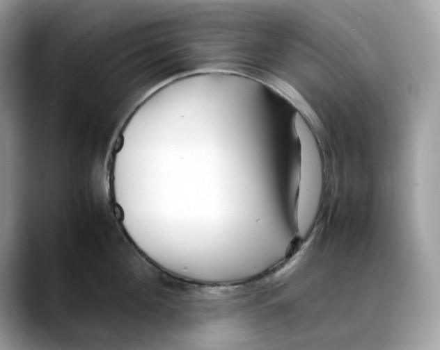 X0000088090908200706081747