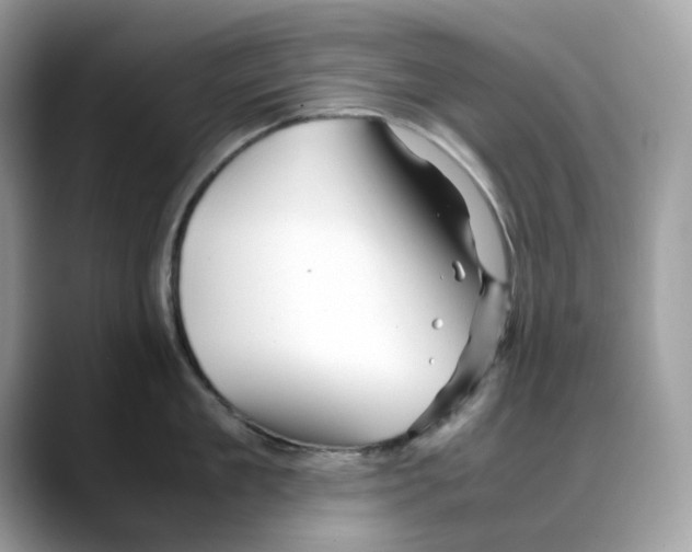X0000088090909200706081747