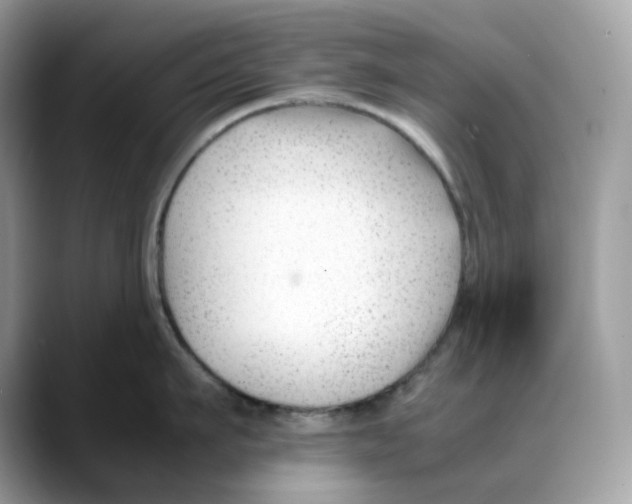 X0000088090911200706081747