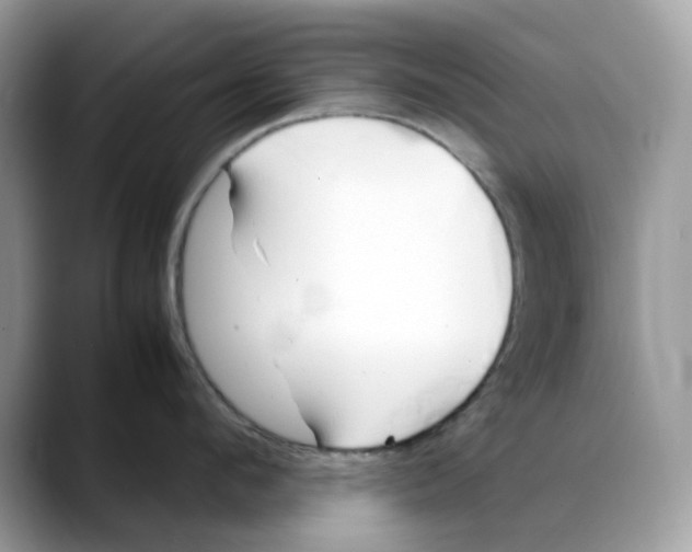 X0000088090912200706081747