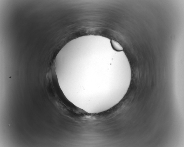 X0000088090914200706081747