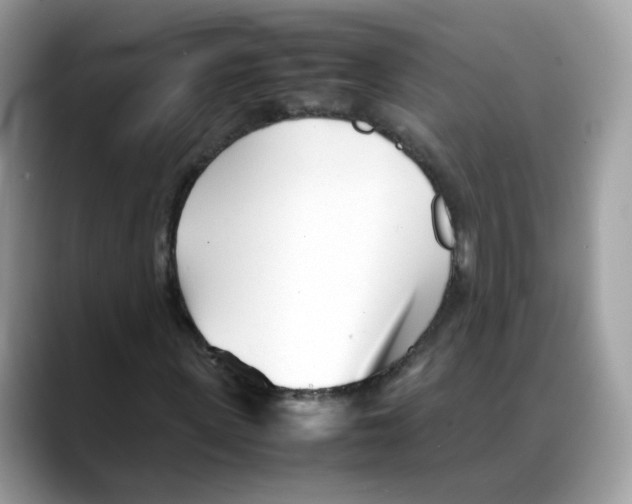 X0000088090915200706081747