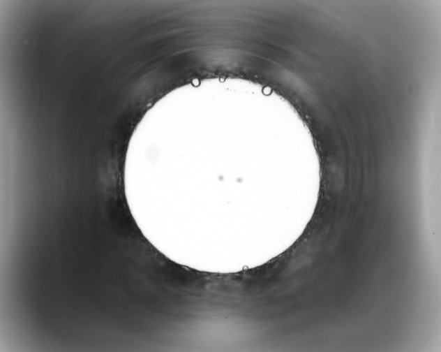 X0000088090918200706081747