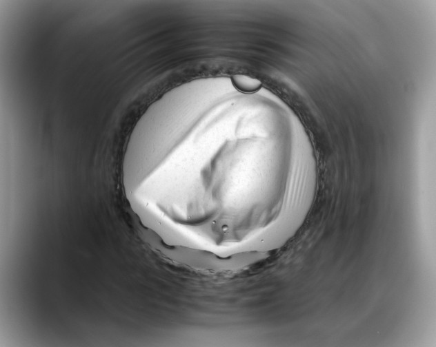 X0000088090919200706081747