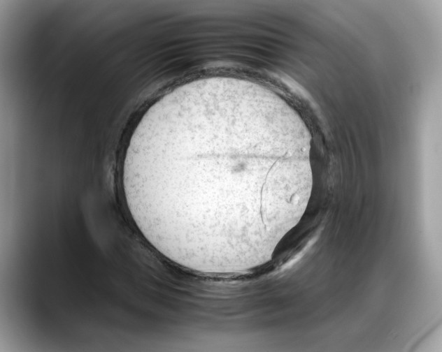X0000088090921200706081747