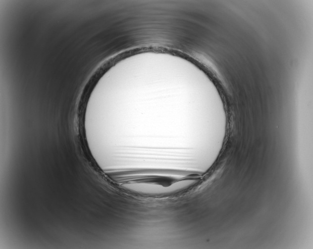 X0000088090924200706081747