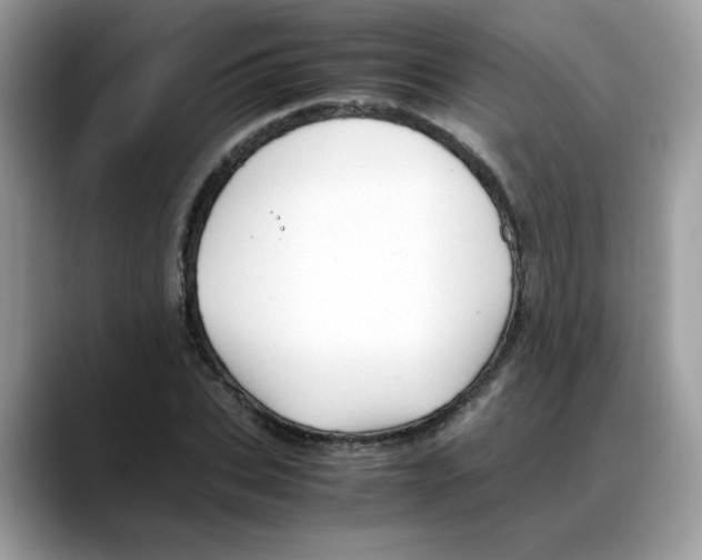X0000088090927200706081747