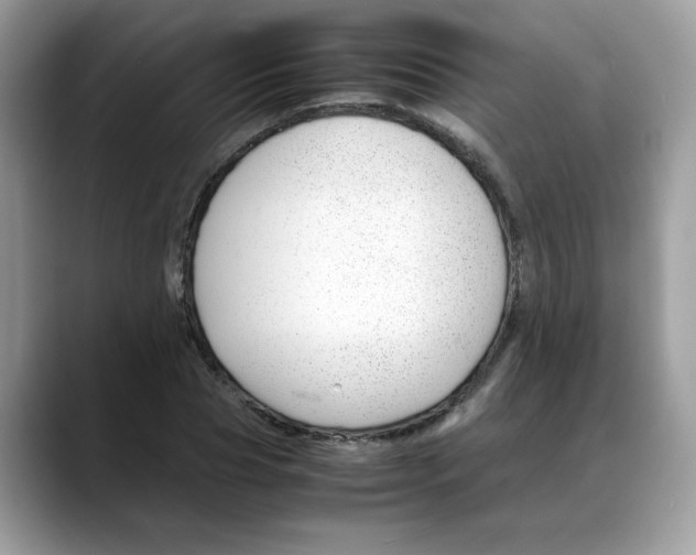 X0000088090929200706081747