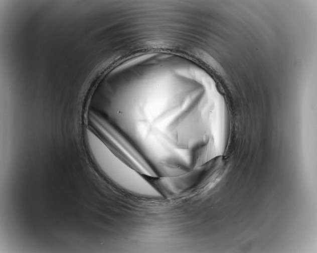 X0000088090930200706081747