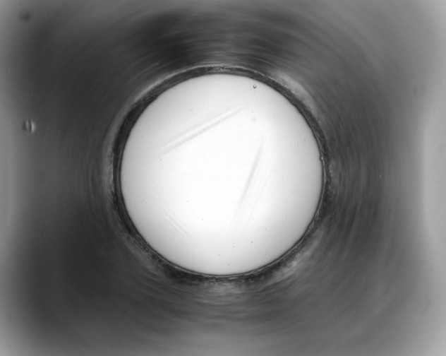 X0000088090931200706081747