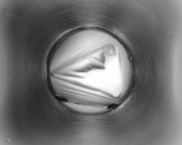 X0000088090934200706081747