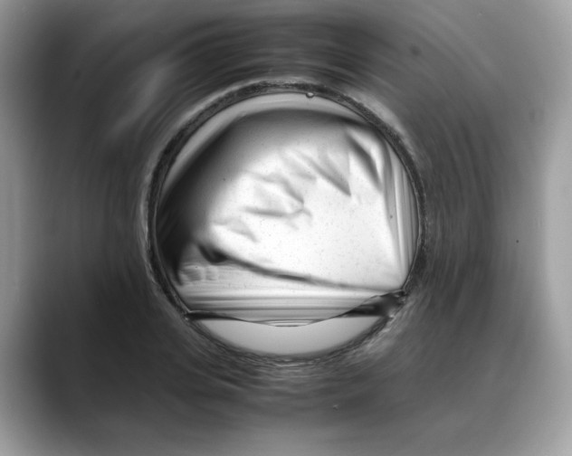 X0000088090935200706081747