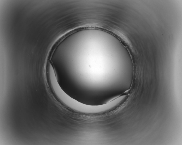 X0000088090936200706081747