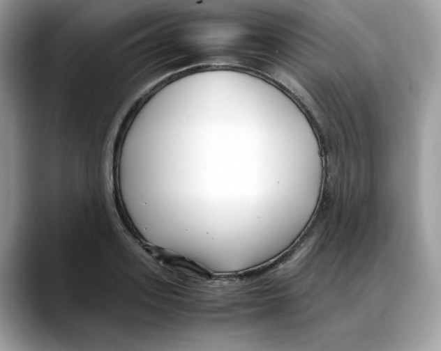 X0000088090939200706081747