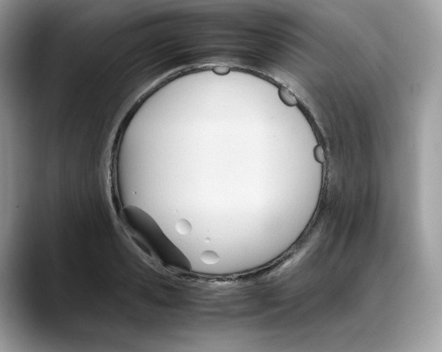X0000088090941200706081747