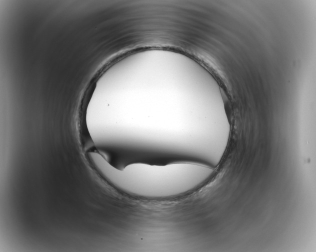 X0000088090942200706081747
