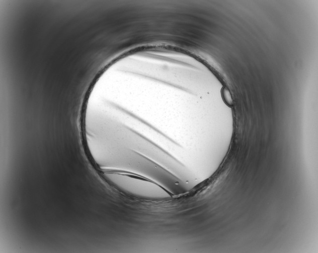 X0000088090943200706081747