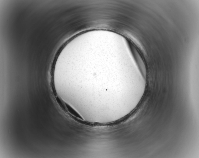 X0000088090944200706081747