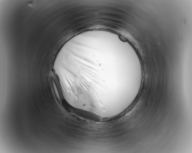 X0000088090945200706081747
