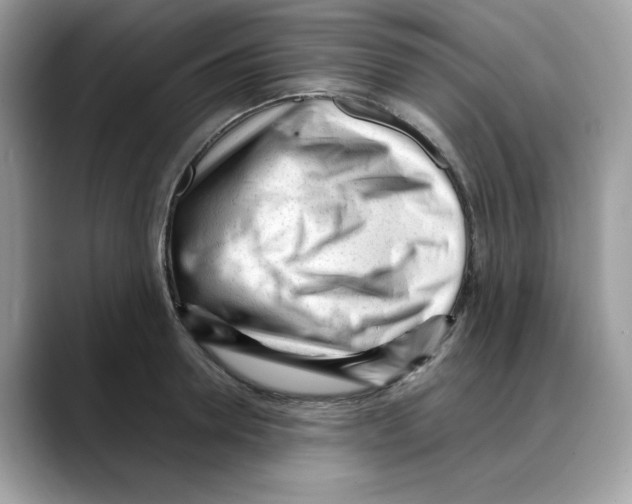 X0000088090946200706081747